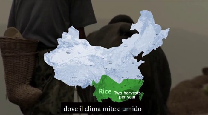 Economia Rurale 1