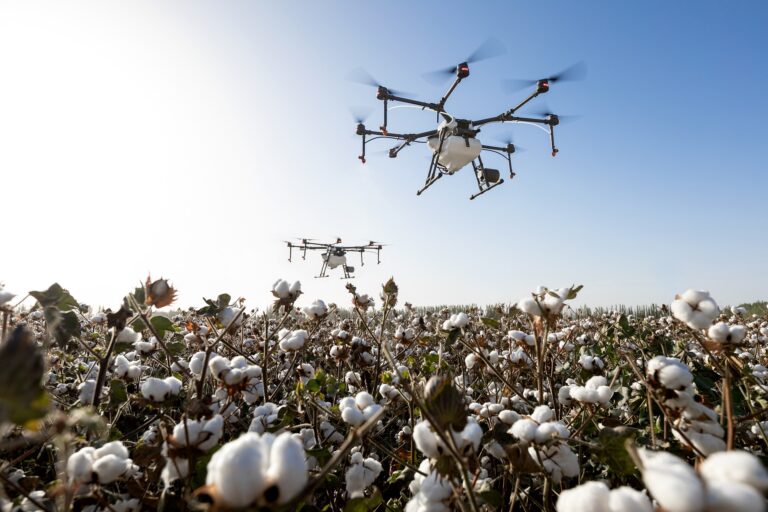 The Xinjiang’s innovative cotton fields