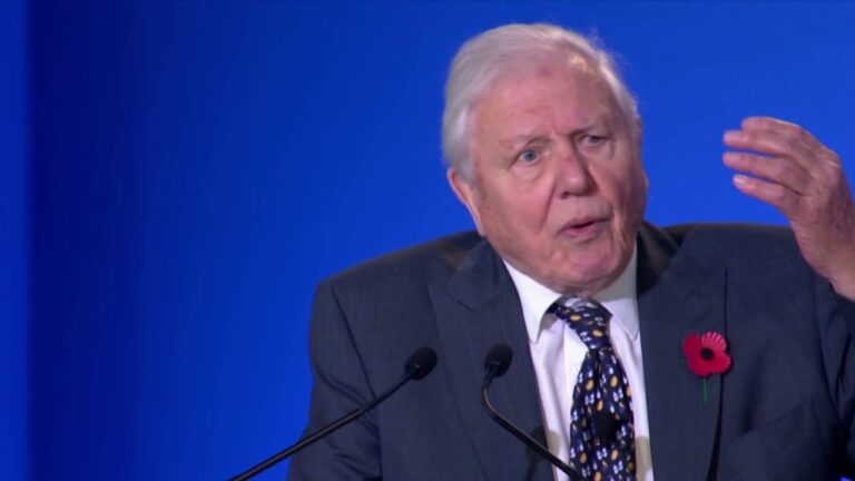 Cop26, the extraordinary speech by David Attenborough that bewitched world leaders